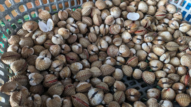 Opinii despre Qun Hua Kuala Selangor Seafood Restaurant în Kuala Selangor - Gastronomi dan perhotelan