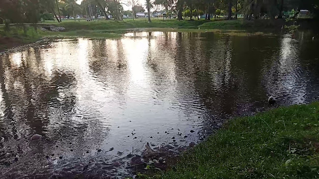Lakeside Restaurant Gelora Point