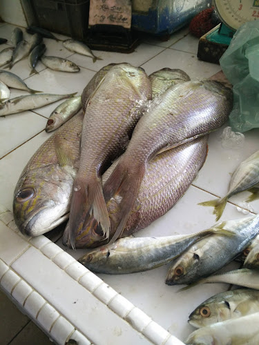 Comentarii opinii despre Pasar Jalan Patani