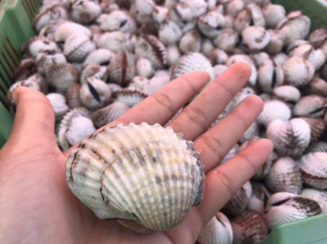 Penyu corner - Gastronomi dan perhotelan