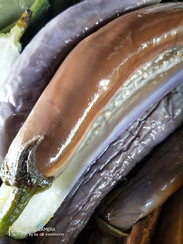 Comentarii opinii despre Raja Salai Kampung Sungai Kandis