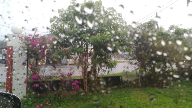 Comentarii opinii despre Restoran Z&E Kampung Bahagia, ( Sg. Siput ( U ), Perak )