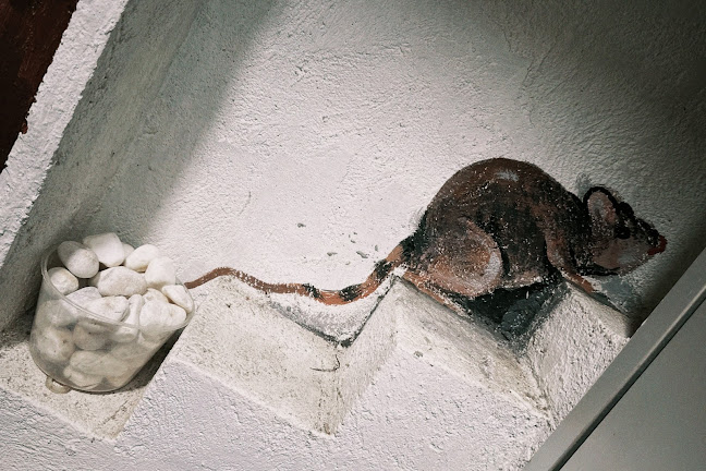 Comentarii opinii despre Intan Villa Kopitiam