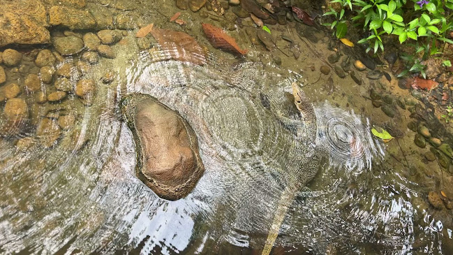 The Banjaran Hotsprings Retreat, 1, Persiaran Lagun Sunway 3, 31150 Ipoh, Perak