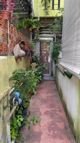 Planter Chin - Kuala Lumpur