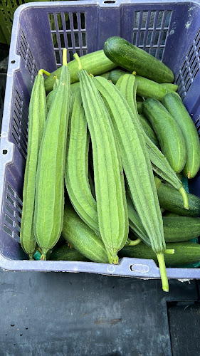 Comentarii opinii despre SW fruit and vegetable