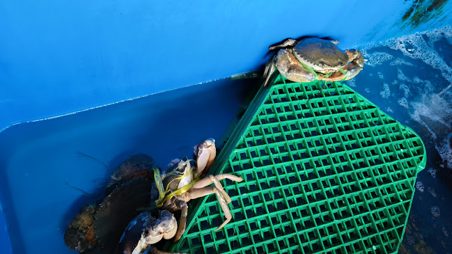 Qun Hua Kuala Selangor Seafood Restaurant - Kuala Selangor