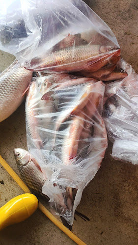 Restoran M Hafiz Tomyam Poktek