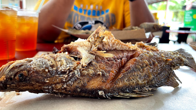 Comentarii opinii despre Rasta TTDI