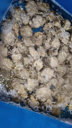 NO.1 A JALAN BAGAN SUNGAI YU PASIR PENAMBANG 45000 KUALA SEALNGOR, Pasir Penambang, 45000 Kuala Selangor, Selangor