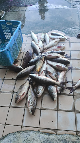Restoran M Hafiz Tomyam Poktek