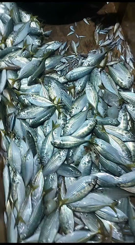 Ikan Bilis Labuan