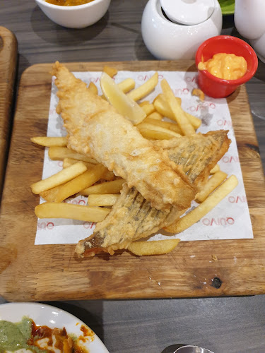 Comentarii opinii despre Quivo