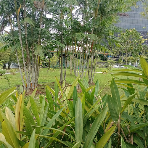 Warung • Edible Park - Gastronomi dan perhotelan