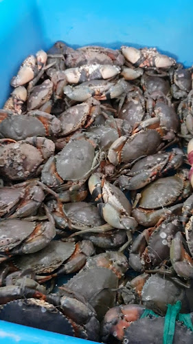 32 34, Lorong Lang, Taman Berkeley, 41150 Klang, Selangor