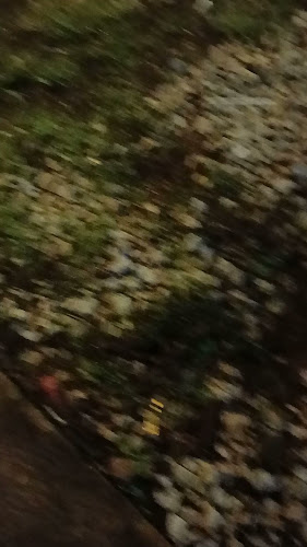 Pasar Awam Bagan Datuk