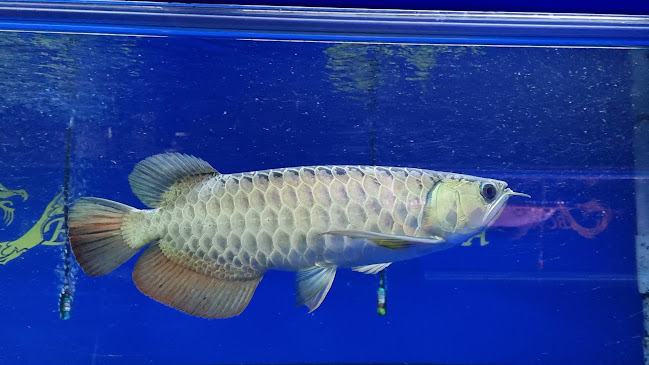 One Stop Kopitiam - Johor Bahru