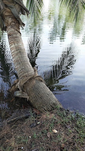 Jalan Dato Abu Samah, TAMAN GELORA, 25050 Kuantan, Pahang
