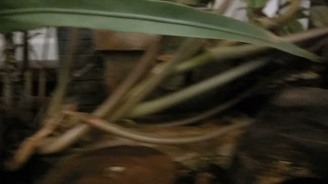 Coup De Grill - Gastronomi dan perhotelan