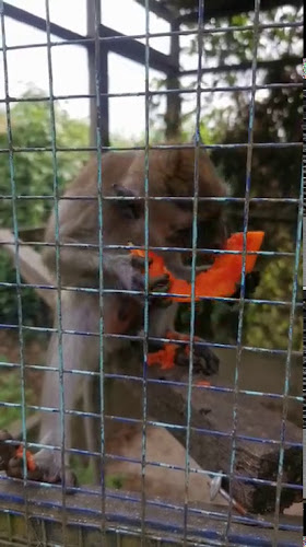 Restoran Halifah - Gastronomi dan perhotelan