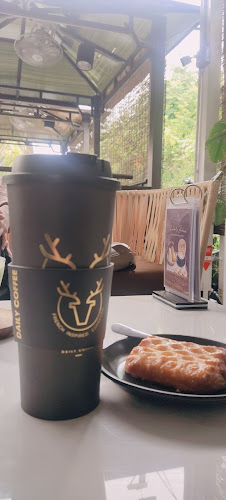 Comentarii opinii despre Daily Coffee Signature