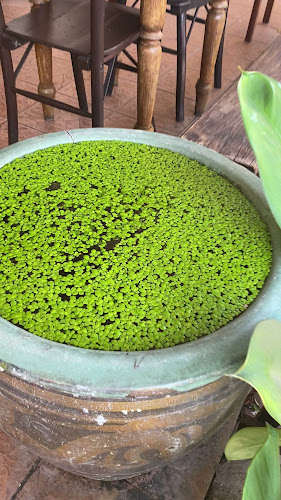 Comentarii opinii despre Rasa Sayang Cafe