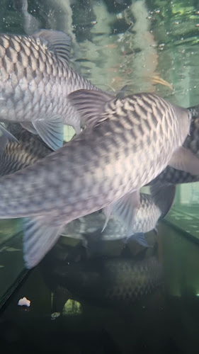 Seng Kee Miri Food Centre - Gastronomi dan perhotelan