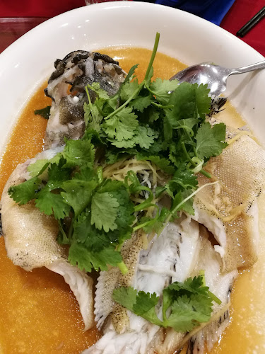 Comentarii opinii despre Haixian Zai