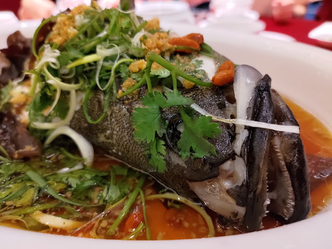 Restoran Toh Yuen - Gastronomi dan perhotelan