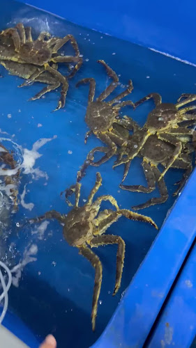 Opinii despre Cengkerang Seafood Jumble în Melaka - Gastronomi dan perhotelan