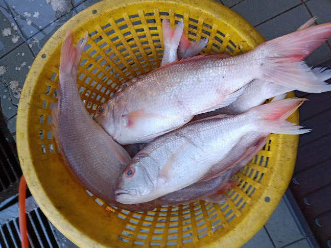 Opinii despre Restoran Makanan Laut Bulatan B5 în Sibu - Gastronomi dan perhotelan