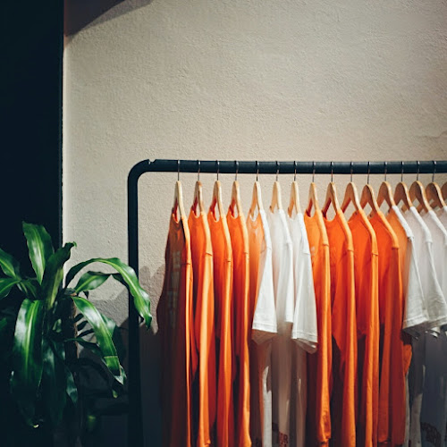 Comentarii opinii despre Backdoor Bodega