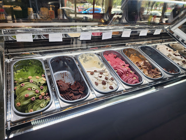 Comentarii opinii despre Roots Mount Austin (Relocating, To be announced)