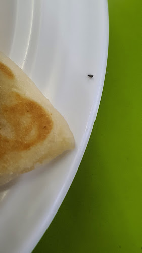 No.85, PT 11987, Jalan Kedah, Taman Meru, 41050 Klang, Selangor