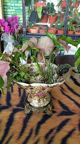 Kedai Kopi OSHIN - Gastronomi dan perhotelan