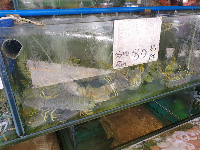 Comentarii opinii despre Restoran Jeti