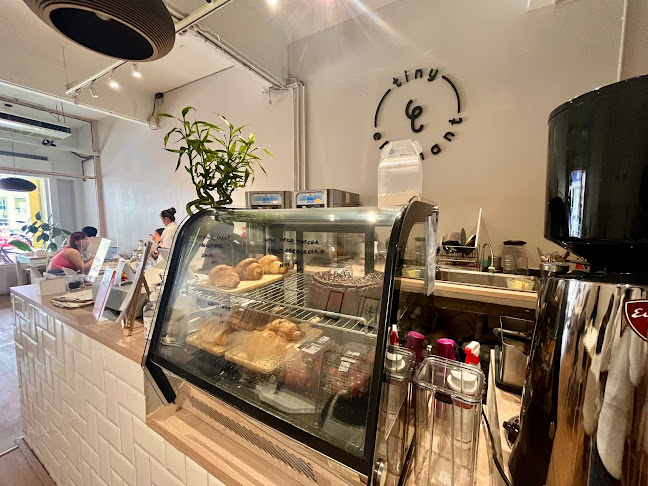 Tiny Elephant - Soft Serve & Coffee