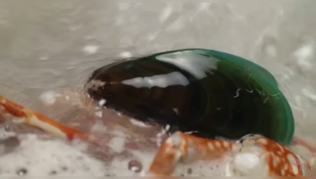 Lot 903 Mukim Bukit Lintang, 75460, Melaka