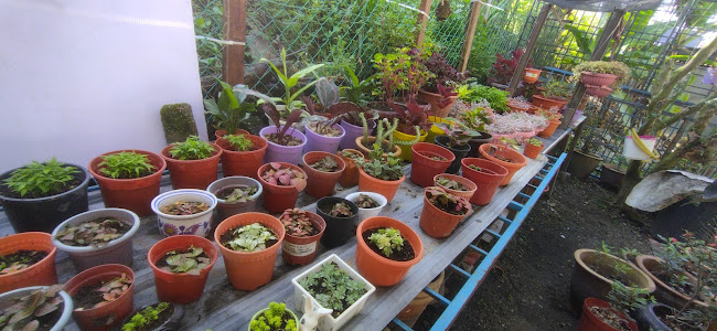 Chan Sisters Kitchen Corner 陳家菜 - Gastronomi dan perhotelan