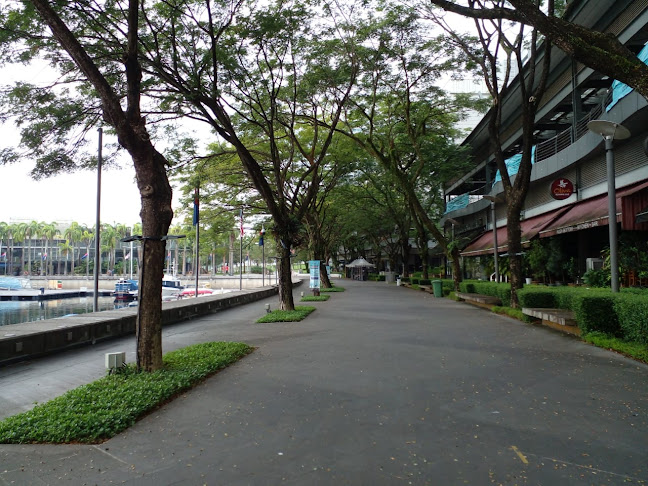 Comentarii opinii despre YCC