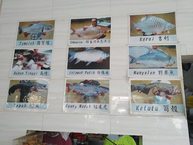 33, Jalan SS 4d/2, Ss 4, 47301 Petaling Jaya, Selangor