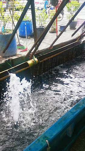 Comentarii opinii despre 榴莲饭档 Kedai Makanan Liu Lian (Liu Lian Restaurant)