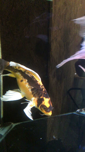 Aqua Coffee - Gastronomi dan perhotelan