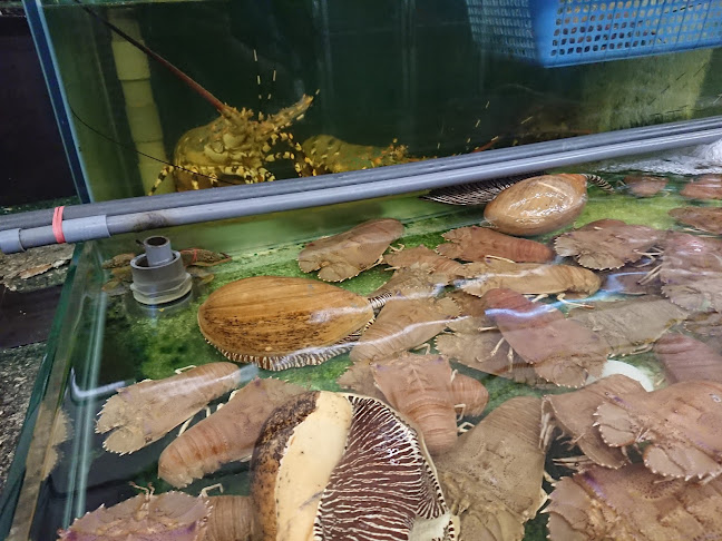 Harries's Burger - Gastronomi dan perhotelan