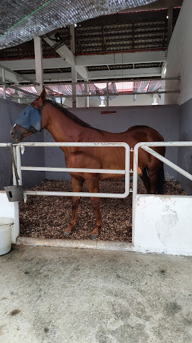 Opinii despre Ekues Cabin Cafe în Putrajaya - Gastronomi dan perhotelan