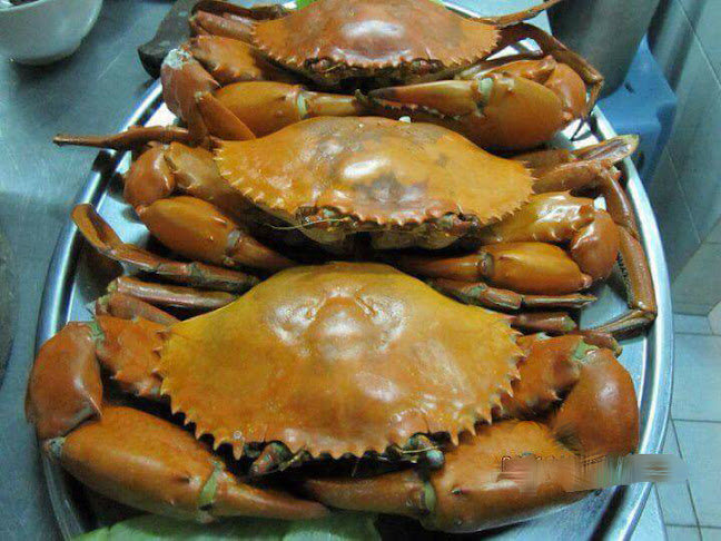 Seafood Padungan Bay Restaurant - Gastronomi dan perhotelan