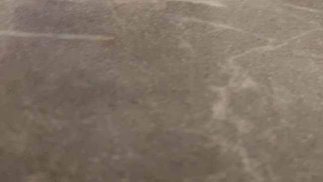 The Blackbird Wine Bar