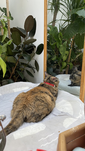 Taman Hati Studio & Cafe