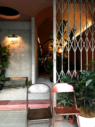 Comentarii opinii despre Coley