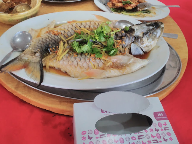 Opinii despre Restoran Ikan Air Tawar Chai Chee în Ipoh - Gastronomi dan perhotelan